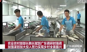 農業(yè)農村部部長韓長賦到何氏水產親睹珠海大航活魚分選機的風采