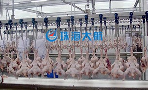 重量分揀設(shè)備如何實(shí)現(xiàn)整雞分選？